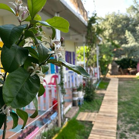 Gaya Pansiyon Cirali Kemer Exterior photo